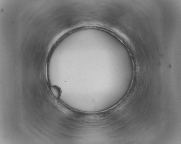 X0000074321272200609152023