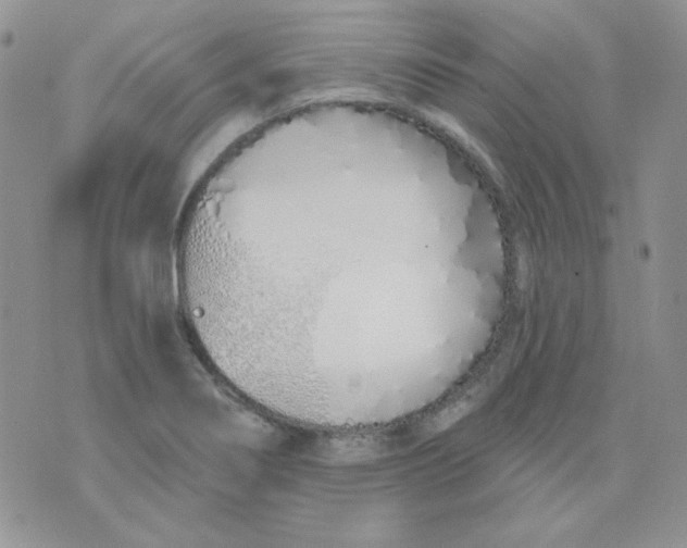 X0000074321274200609152023