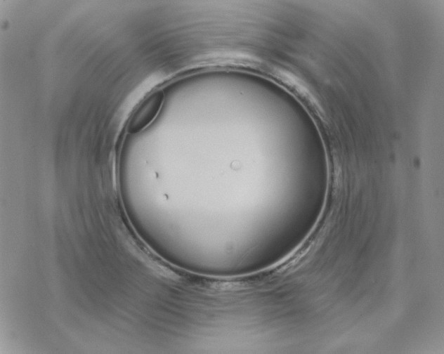 X0000074321275200609152023