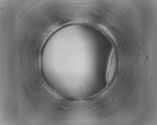 X0000074321276200609152023