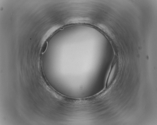 X0000074321277200609152023