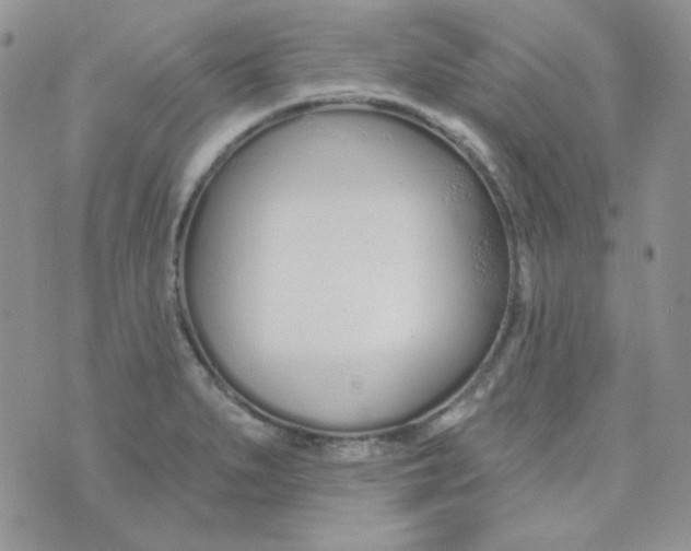 X0000074321279200609152023