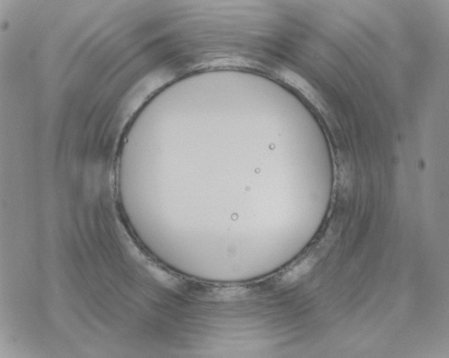 X0000074321282200609152023