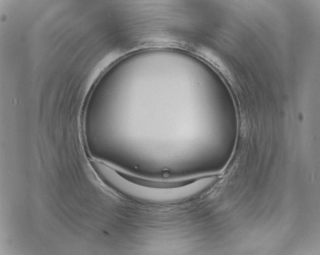 X0000074321283200609152023