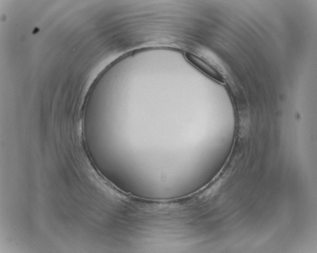 X0000074321284200609152023