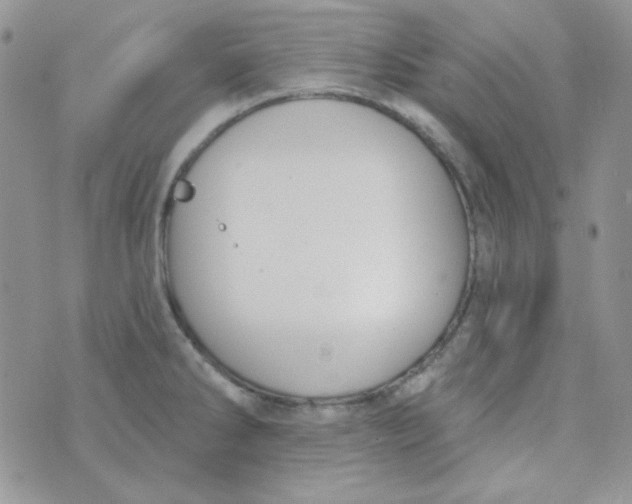 X0000074321286200609152022