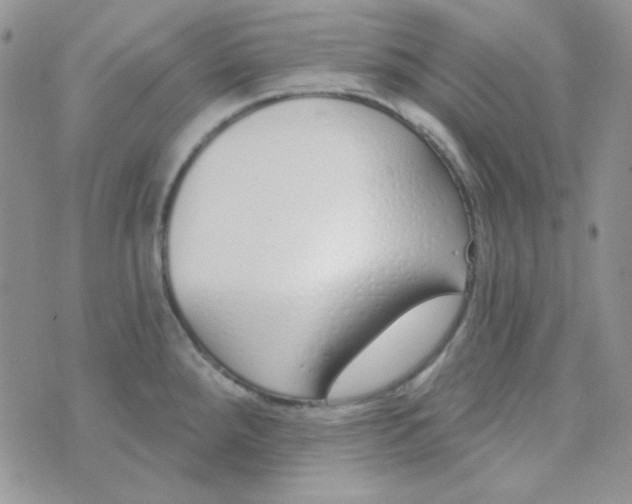 X0000074321288200609152022