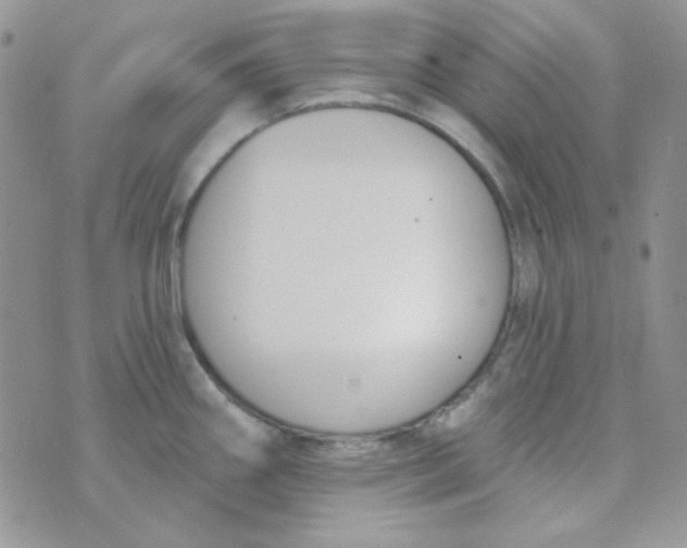 X0000074321290200609152022