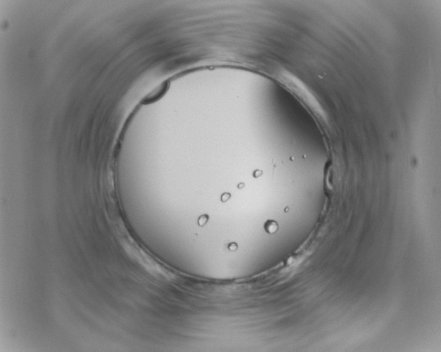 X0000074321292200609152022