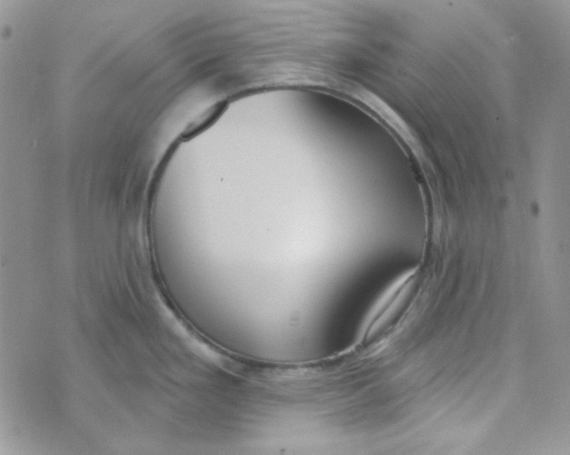 X0000074321293200609152022