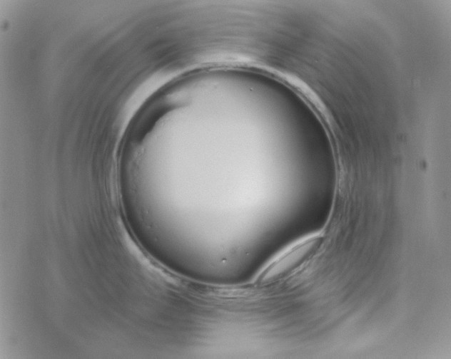 X0000074321295200609152022