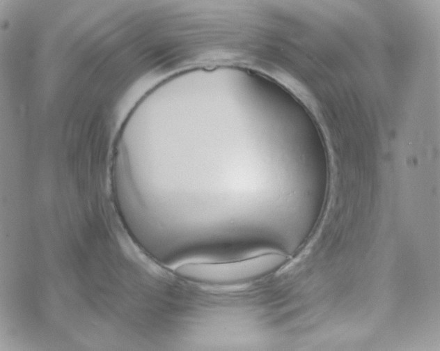 X0000074321296200609152022