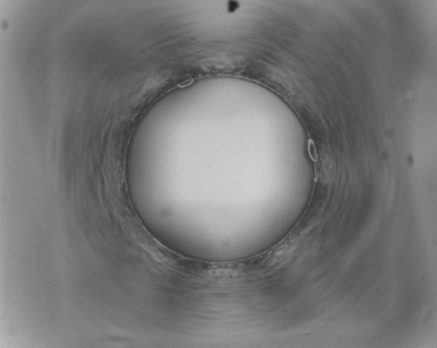 X0000074321297200609152022