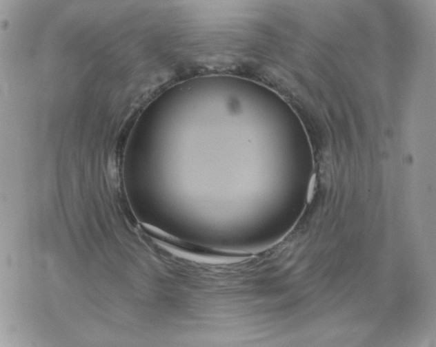 X0000074321298200609152022