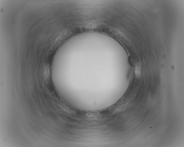 X0000074321299200609152022