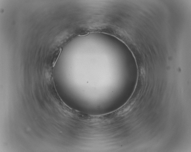 X0000074321300200609152022