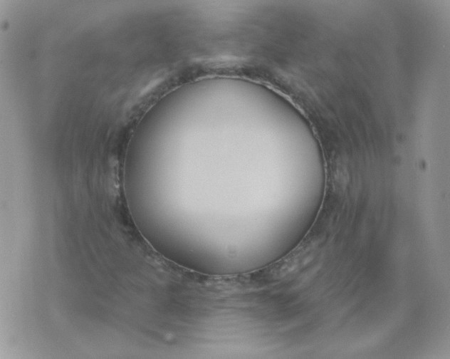 X0000074321301200609152022