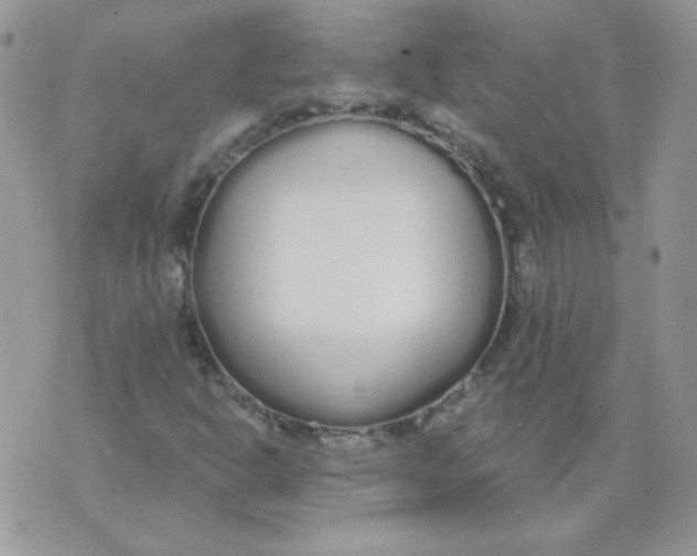 X0000074321302200609152022