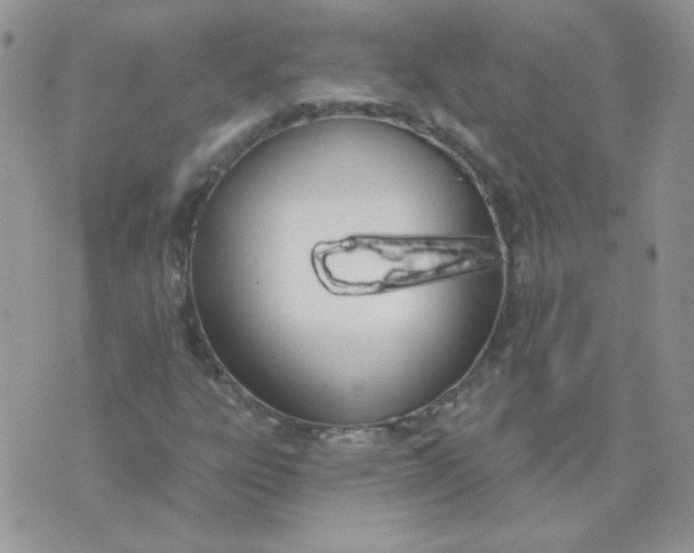 X0000074321303200609152022