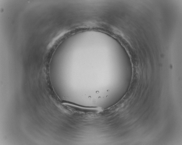 X0000074321304200609152022