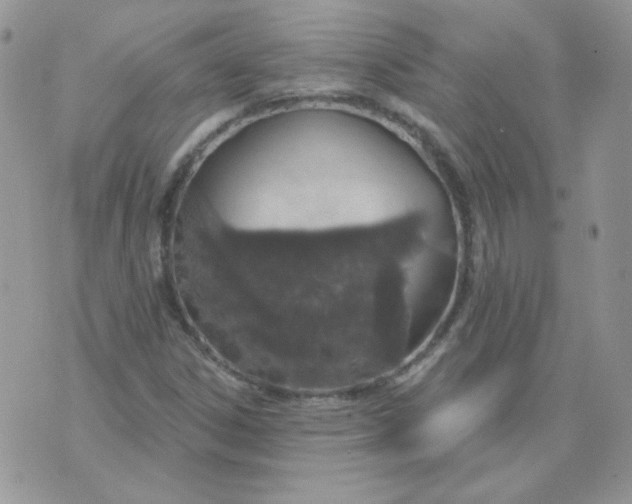 X0000074321306200609152022