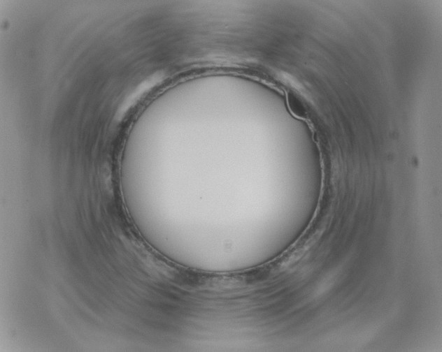 X0000074321307200609152022