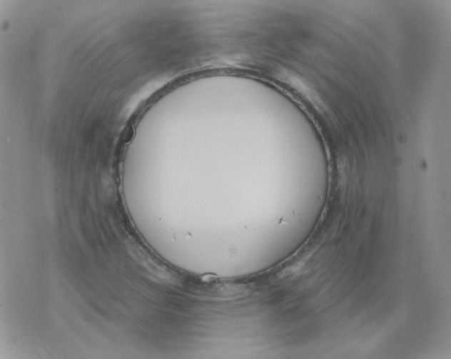 X0000074321308200609152022