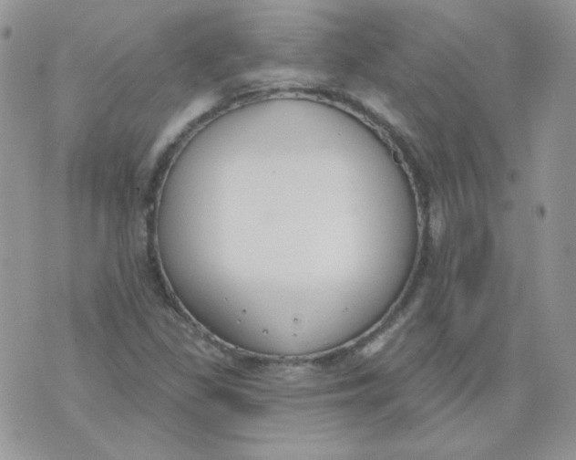 X0000074321309200609152022