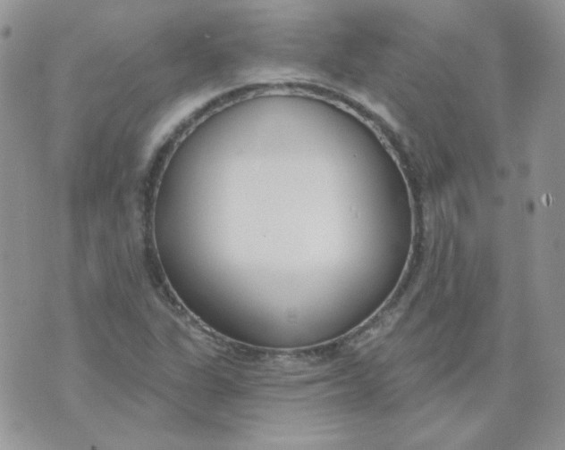 X0000074321311200609152022