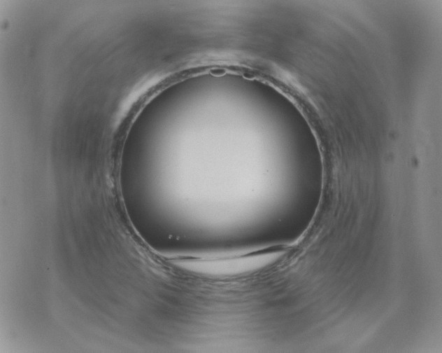 X0000074321312200609152022