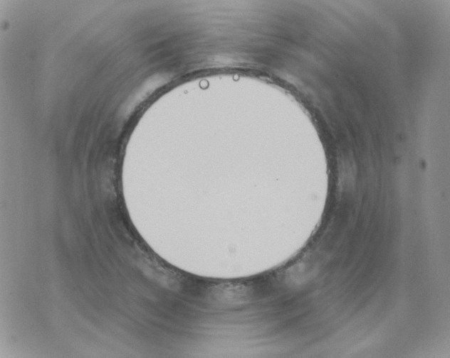 X0000074321314200609152022