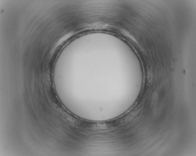 X0000074321315200609152022