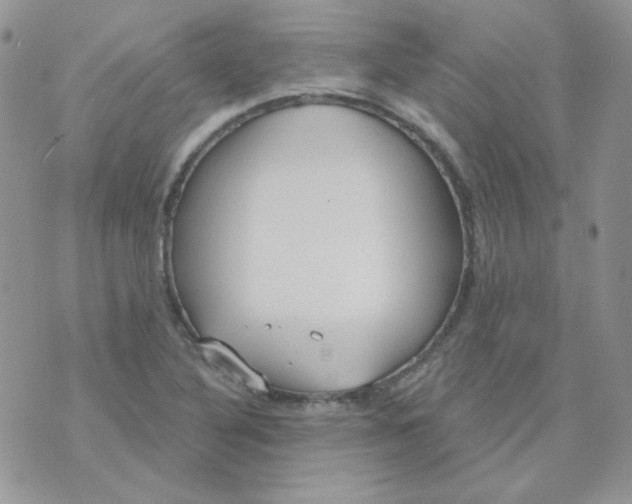 X0000074321316200609152022