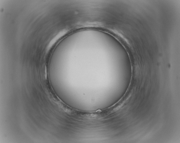 X0000074321317200609152022