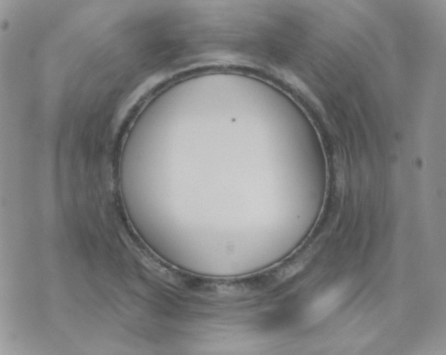 X0000074321318200609152022