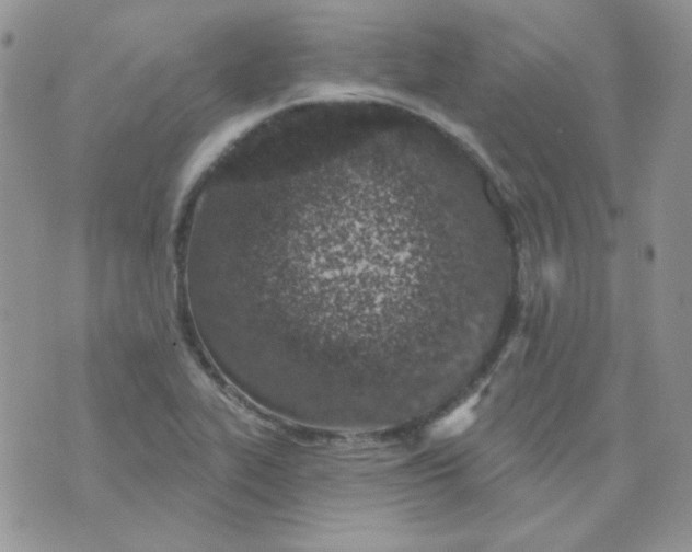 X0000074321319200609152022