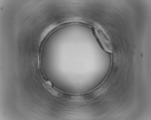 X0000074321320200609152022