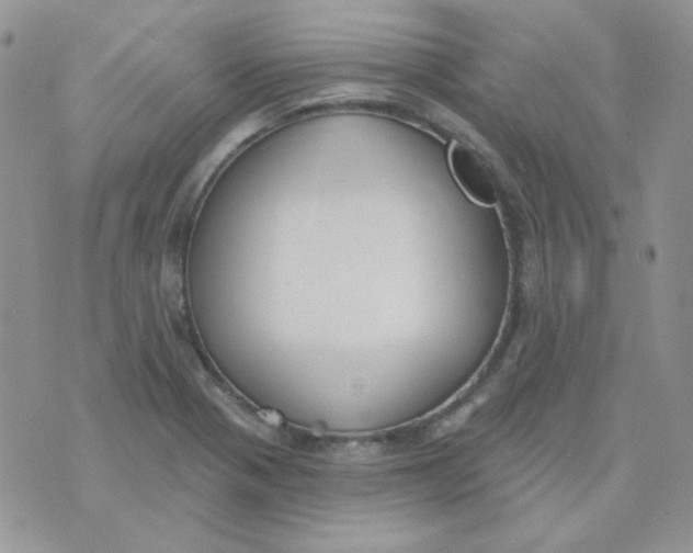 X0000074321321200609152022