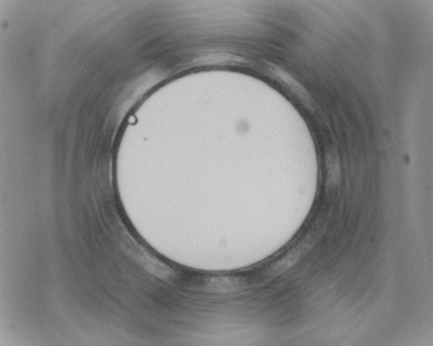 X0000074321322200609152022