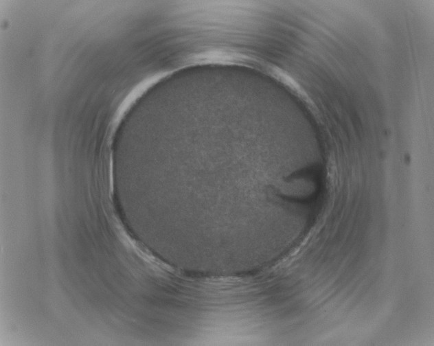 X0000074321323200609152022