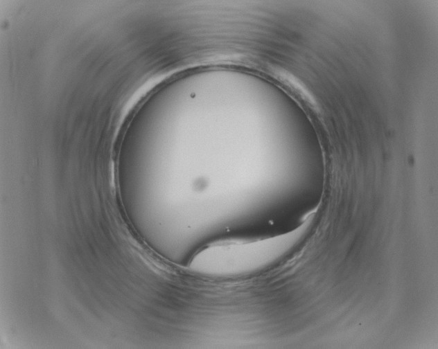 X0000074321324200609152022