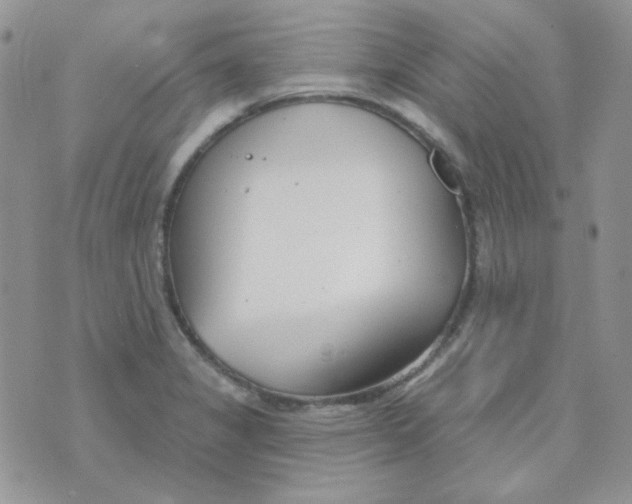 X0000074321325200609152022