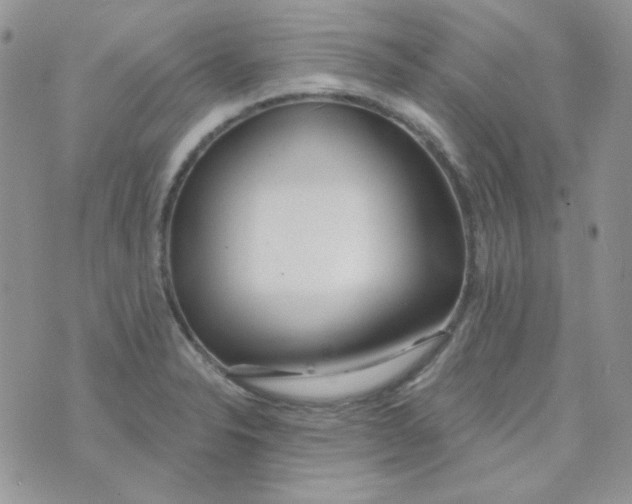 X0000074321326200609152022