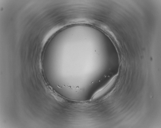 X0000074321328200609152022