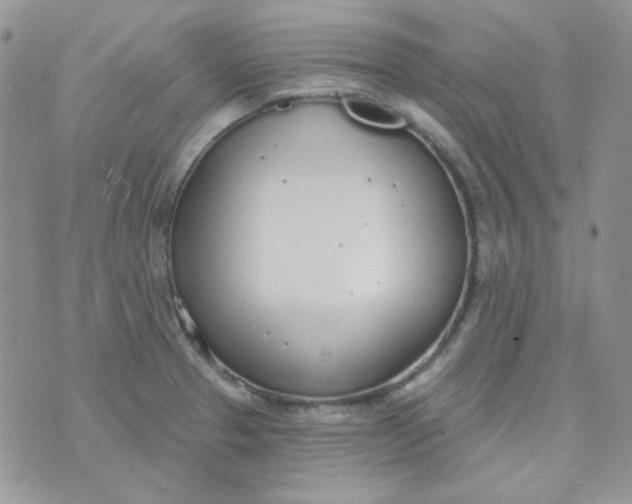 X0000074321329200609152022