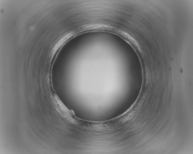 X0000074321330200609152022