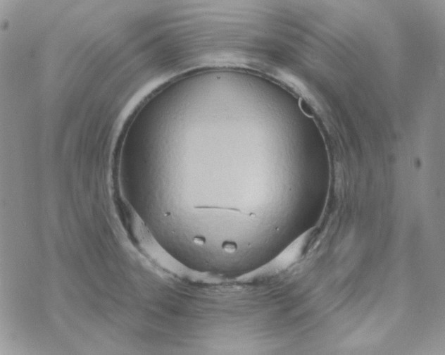 X0000074321331200609152022