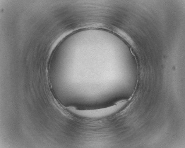 X0000074321332200609152022