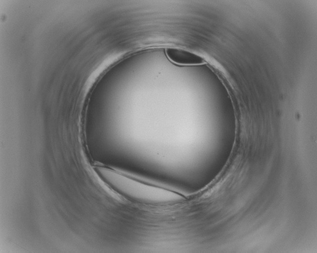 X0000074321333200609152022