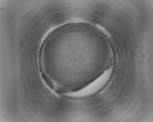 X0000074321334200609152022